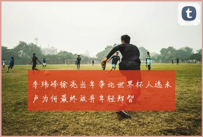 李玮峰徐亮当年争论世界杯人选米卢为何最终放弃年轻郑智